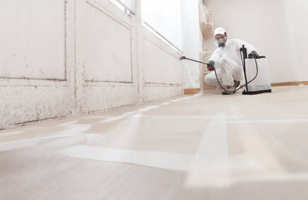 24/7 Emergency Black Mold Remediation experts in Herndon, VA