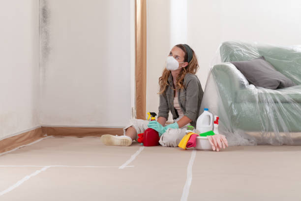 Reliable Black Mold Remediation contractor in Herndon, VA by Mold Remediation HQ